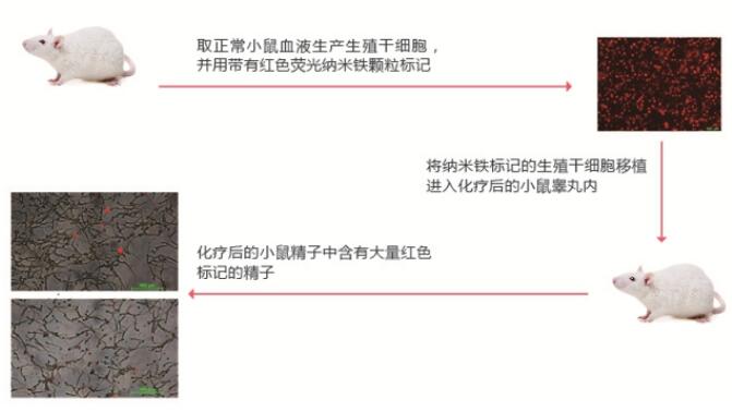 QQ截圖20231016141320.jpg