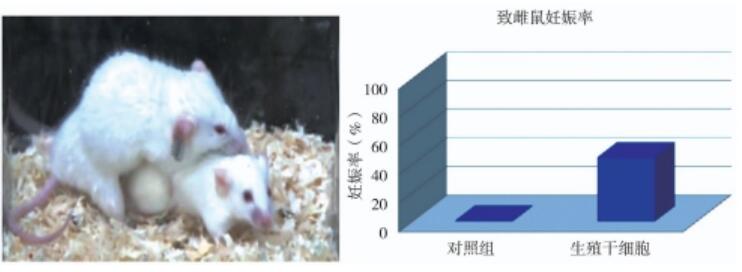QQ截圖20231016141642.jpg