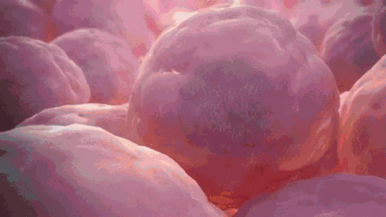 微信圖片_20240327105605.gif
